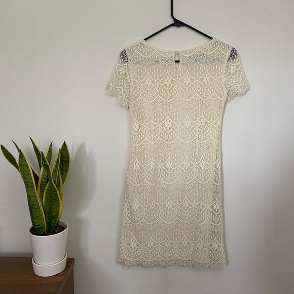 Alex + Alex Ivory Lace Shift Dress - Picture 4 of 7